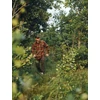 Kép 2/4 - PINEWOOD® HUNTERS MESH SAPKA 
