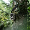 Kép 4/4 - Dörr Cloud Mini 4G LTE vadkamera