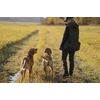 Kép 3/5 - PINEWOOD® TIVEDEN FLEECE NŐI SZVETTER 