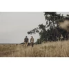 Kép 4/6 - PINEWOOD® SAFARI HOSSZÚ UJJÚ NŐI ING