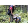 Kép 3/6 - PINEWOOD® FINNVEDEN HYBRID EXTREME NŐI NADRÁG