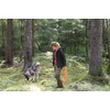 Kép 5/6 - PINEWOOD® FINNVEDEN HYBRID EXTREME NŐI NADRÁG