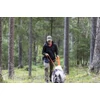 Kép 6/6 - PINEWOOD® FINNVEDEN HYBRID EXTREME NŐI NADRÁG