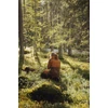 Kép 7/11 - PINEWOOD® FINNVEDEN HYBRID NŐI KABÁT 