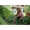 Kép 4/6 - PINEWOOD® Värnamo InsectSafe® Hemp MixShort rövid ujjú női ing
