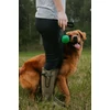 Kép 4/5 - PINEWOOD® Dog Sports női póló