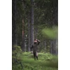 Kép 7/8 - PINEWOOD® FINNVEDEN HYBRID NADRÁG