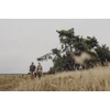 Kép 5/8 - PINEWOOD® VÄRNAMO VINTAGE FÉRFI VÁSZONNADRÁG