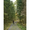 Kép 6/6 - PINEWOOD® SMÅLAND HUNTERS KABÁT 