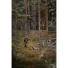 Kép 5/7 - PINEWOOD® Furudal Expert 2L Vadászdzseki 