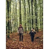 Kép 2/5 - PINEWOOD® HURRICANE KÖTÖTT NŐI PULÓVER