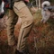PINEWOOD® Furudal Hunters Hybrid Sztreccs Vadásznadrág 