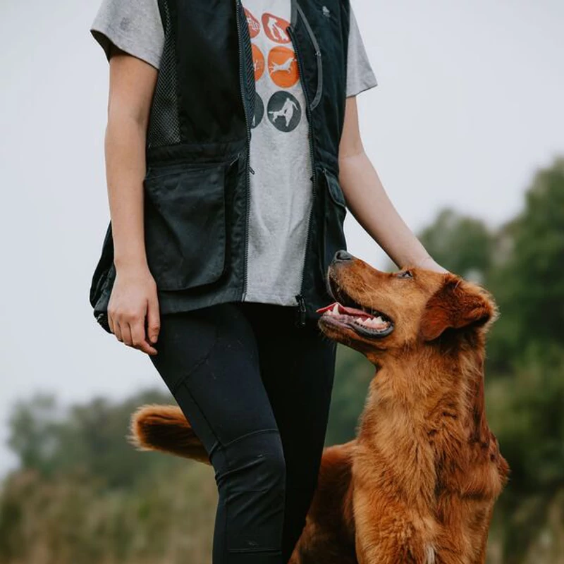 PINEWOOD® Dog Sports női póló